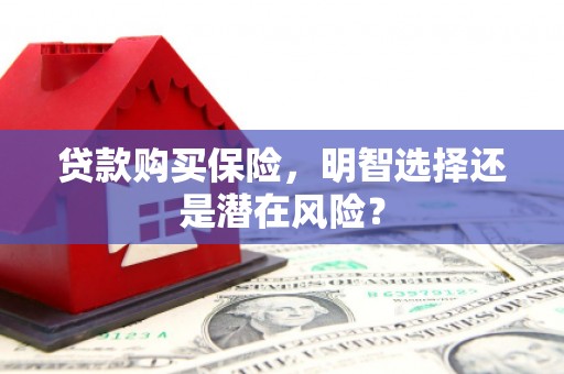 涧西贷款购买保险，明智选择还是潜在风险？