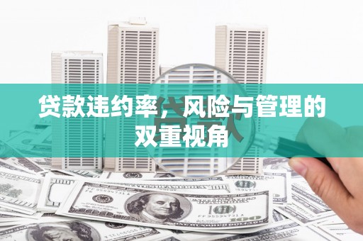 涧西贷款违约率，风险与管理的双重视角