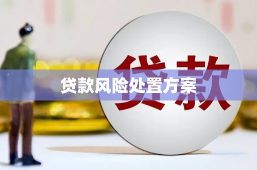 涧西贷款风险处置方案