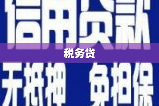涧西税务贷