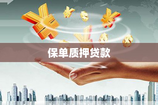 涧西保单质押贷款