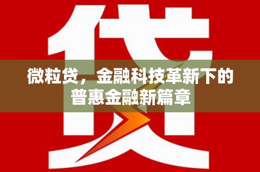 涧西微粒贷，金融科技革新下的普惠金融新篇章