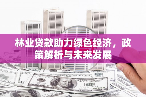 涧西林业贷款助力绿色经济，政策解析与未来发展