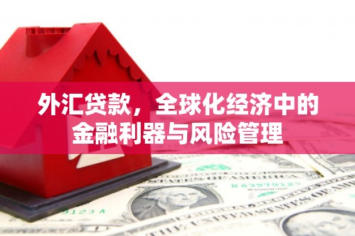 涧西外汇贷款，全球化经济中的金融利器与风险管理