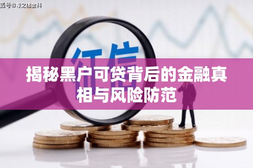 涧西揭秘黑户可贷背后的金融真相与风险防范