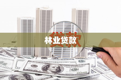 涧西林业贷款