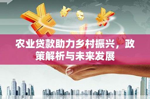 涧西农业贷款助力乡村振兴，政策解析与未来发展