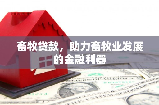 涧西畜牧贷款，助力畜牧业发展的金融利器
