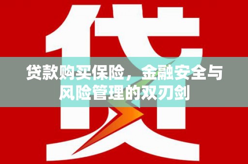 涧西贷款购买保险，金融安全与风险管理的双刃剑
