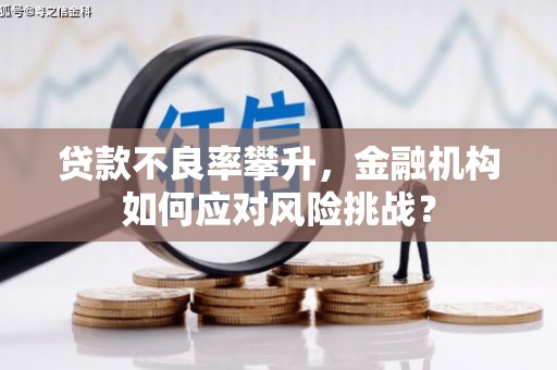 涧西贷款不良率攀升，金融机构如何应对风险挑战？