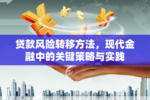 涧西贷款风险转移方法，现代金融中的关键策略与实践