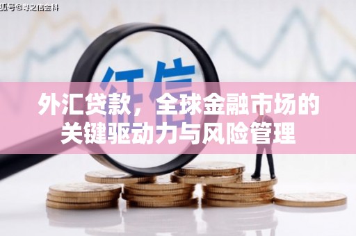 涧西外汇贷款，全球金融市场的关键驱动力与风险管理