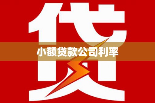 涧西小额贷款公司利率