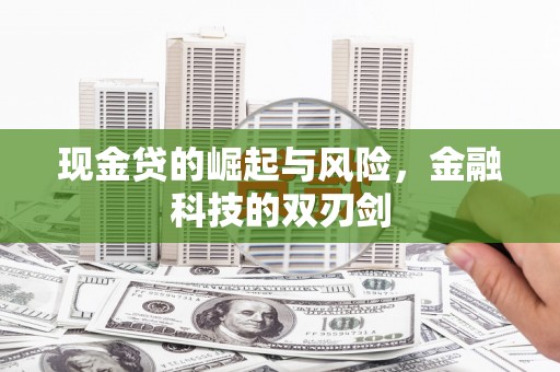 涧西现金贷的崛起与风险，金融科技的双刃剑