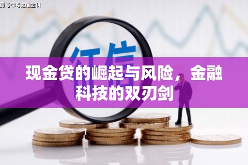 涧西现金贷的崛起与风险，金融科技的双刃剑