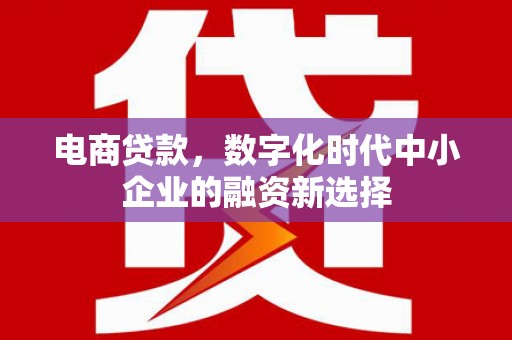 涧西电商贷款，数字化时代中小企业的融资新选择