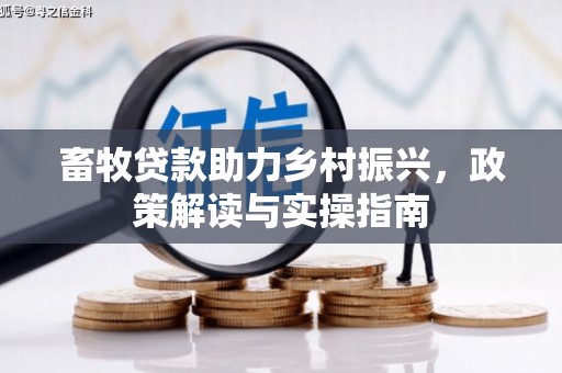 涧西畜牧贷款助力乡村振兴，政策解读与实操指南