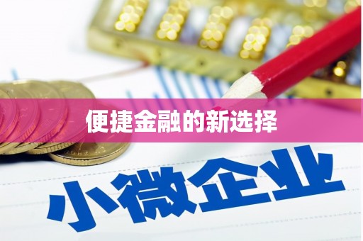 涧西便捷金融的新选择
