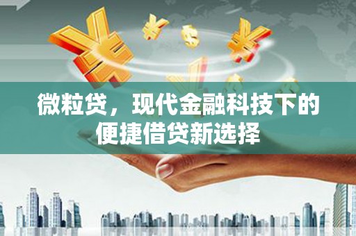 涧西微粒贷，现代金融科技下的便捷借贷新选择