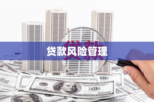 涧西贷款风险管理