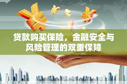 涧西贷款购买保险，金融安全与风险管理的双重保障