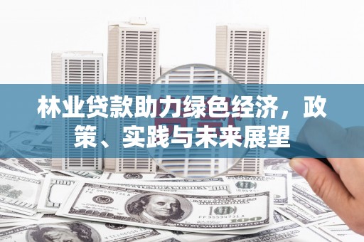 涧西林业贷款助力绿色经济，政策、实践与未来展望