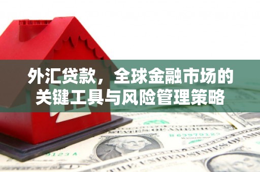 涧西外汇贷款，全球金融市场的关键工具与风险管理策略