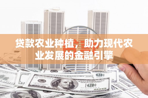 涧西贷款农业种植，助力现代农业发展的金融引擎