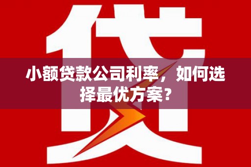 涧西小额贷款公司利率，如何选择最优方案？