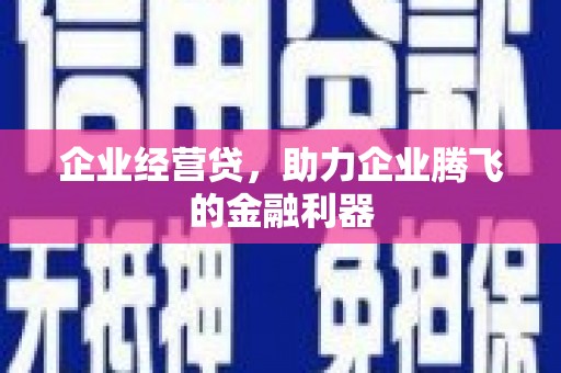 涧西企业经营贷，助力企业腾飞的金融利器
