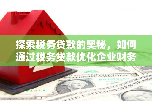 涧西探索税务贷款的奥秘，如何通过税务贷款优化企业财务