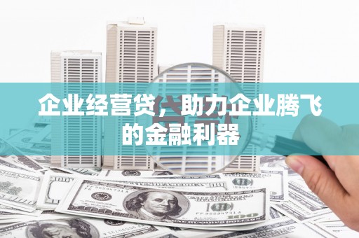 涧西企业经营贷，助力企业腾飞的金融利器