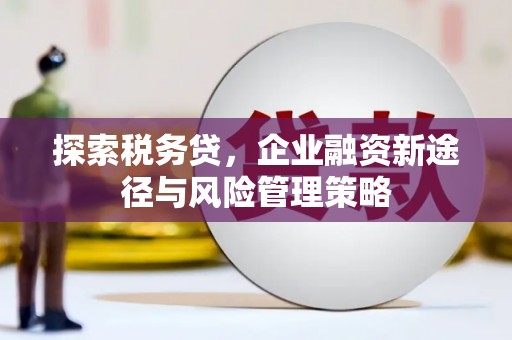 涧西探索税务贷，企业融资新途径与风险管理策略