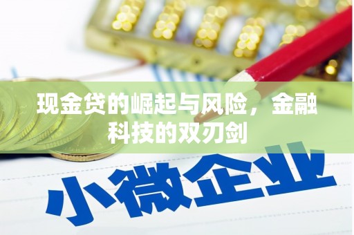 涧西现金贷的崛起与风险，金融科技的双刃剑