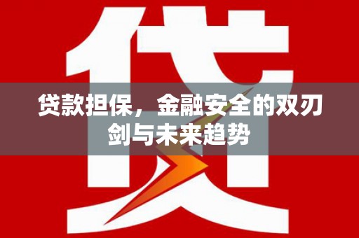 涧西贷款担保，金融安全的双刃剑与未来趋势