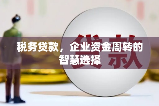 涧西税务贷款，企业资金周转的智慧选择