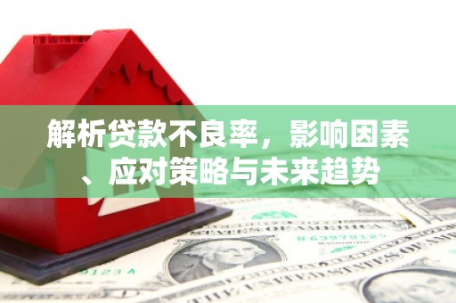 涧西解析贷款不良率，影响因素、应对策略与未来趋势