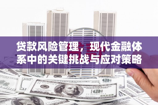 涧西贷款风险管理，现代金融体系中的关键挑战与应对策略