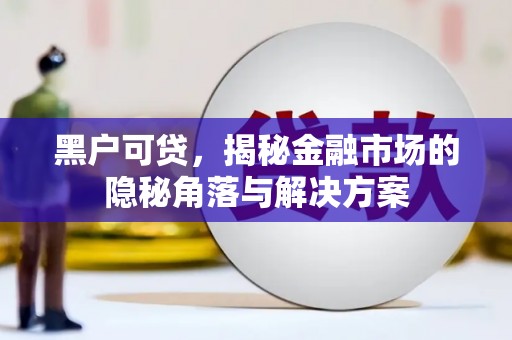 涧西黑户可贷，揭秘金融市场的隐秘角落与解决方案