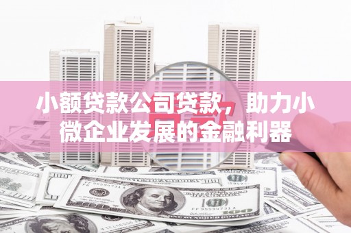 涧西小额贷款公司贷款，助力小微企业发展的金融利器