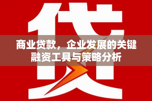 涧西商业贷款，企业发展的关键融资工具与策略分析