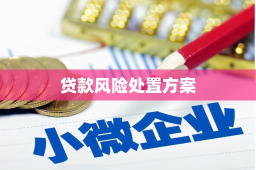 涧西贷款风险处置方案