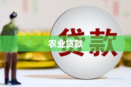 涧西农业贷款
