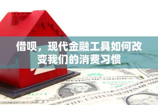 涧西借呗，现代金融工具如何改变我们的消费习惯