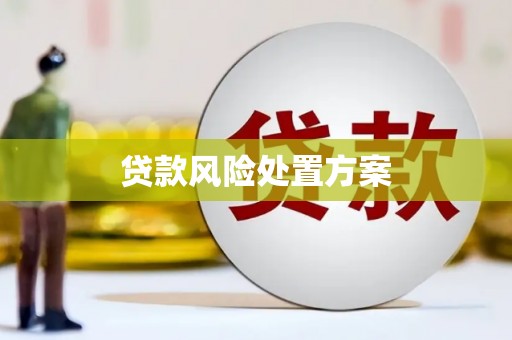 涧西贷款风险处置方案