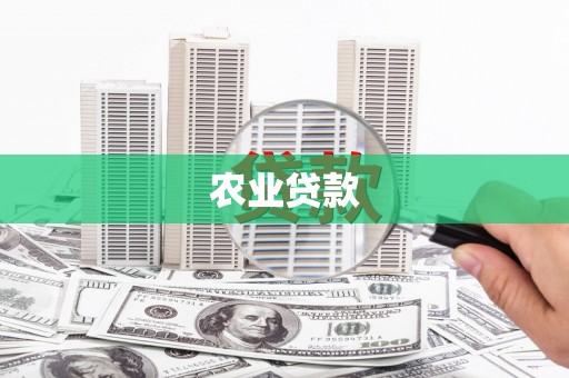 涧西农业贷款