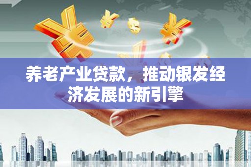 涧西养老产业贷款，推动银发经济发展的新引擎
