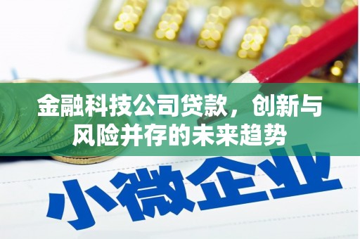 涧西金融科技公司贷款，创新与风险并存的未来趋势