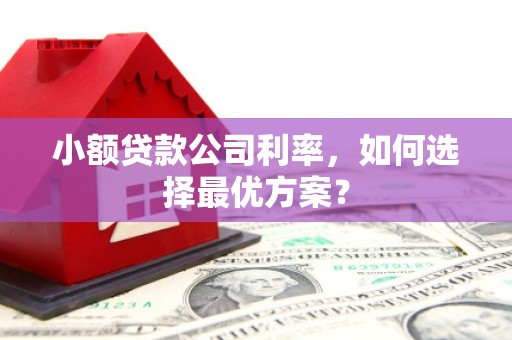 涧西小额贷款公司利率，如何选择最优方案？