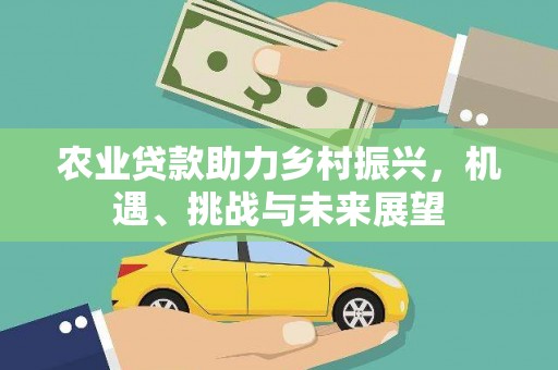 涧西农业贷款助力乡村振兴，机遇、挑战与未来展望